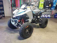 NEW 2019 KYMCO - MONGOOSE 270 - TEEN/ADULT 270CC T-14 ATV atvs Wholesale ATV WHITE/BLACK 