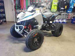 NEW 2019 KYMCO - MONGOOSE 270 - TEEN/ADULT 270CC T-14 ATV atvs Wholesale ATV WHITE/BLACK 