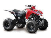 NEW 2019 KYMCO - MONGOOSE 270 - TEEN/ADULT 270CC T-14 ATV atvs Wholesale ATV RED/BLACK 