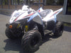 NEW 2019 KYMCO - MONGOOSE 70S - YOUTH 70CC Y-6 ATV atvs Wholesale ATV WHITE 