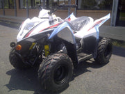 NEW 2019 KYMCO - MONGOOSE 70S - YOUTH 70CC Y-6 ATV atvs Wholesale ATV WHITE 