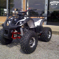 New Larger Youth - Tao Tao New TForce - Kids 125cc ATV Utility - CA Carb Approved - Free Shipping atvs Wholesale ATV 