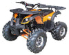 New Vitacci RIDER 10 DLX - 125cc Fully Automatic Youth ATV with Reverse