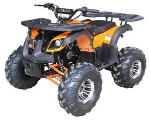 New Vitacci RIDER 10 DLX - 125cc Fully Automatic Youth ATV with Reverse