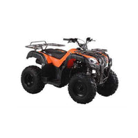 New ODES Piranha EFI 176cc UTILITY Youth Teen ATV