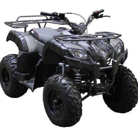 New ODES Piranha EFI 176cc UTILITY Youth Teen ATV