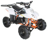 New 110cc - ACE D110 - Fully Auto Youth ATV with Headlight & Rack
