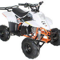New 110cc - ACE D110 - Fully Auto Youth ATV with Headlight & Rack