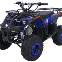 New 125cc - ACE B125-7 - Fully Auto Youth ATV