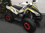 NEW LARGE YOUTH - TAO TAO REX- SPORT 125cc Kids ATV - Free Shipping atvs Wholesale ATV WHITE/YELLOW 