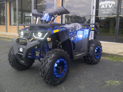 New Adult 200cc Utility - TaoTao Raptor200 - ATV - CA Carb Approved - Free Shipping atvs Wholesale ATV Blue 
