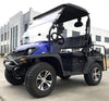 New 200cc - Trailmaster Taurus 200 MFV - UTV Side by Side/Golf Cart with High/Low Gear - Fully Assembled - Free Shipping utvs Wholesale ATV Blue 