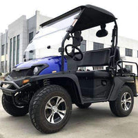 New 200cc - Trailmaster Taurus 200 MFV - UTV Side by Side/Golf Cart with High/Low Gear - Fully Assembled - Free Shipping utvs Wholesale ATV Blue 