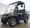 New 200cc - Trailmaster Taurus 200 MFV - UTV Side by Side/Golf Cart with High/Low Gear - Fully Assembled - Free Shipping utvs Wholesale ATV Tree Camo 