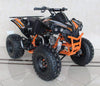 New Larger Youth - Ace C125 Conqueror - 125cc Kids ATV Sport Utility - CA Carb Approved