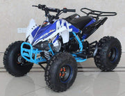 New Larger Youth 125cc - ACE K125 - ATV Sport - CA Carb Approved - Free Shipping atvs Wholesale ATV Blue 