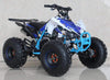New Larger Youth - Ace K125 - 125cc Kids ATV Sport - CA Carb Approved