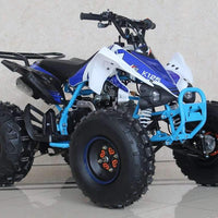 New Larger Youth - Ace K125 - 125cc Kids ATV Sport - CA Carb Approved