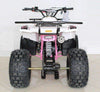 New Larger Youth - Ace T125 Thor - 125cc Kids ATV Utility - CA Carb Approved