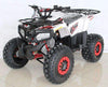 New Larger Youth - Ace T125 Thor - 125cc Kids ATV Utility - CA Carb Approved