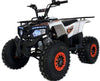 New Larger Youth - Ace T125 Thor - 125cc Kids ATV Utility - CA Carb Approved