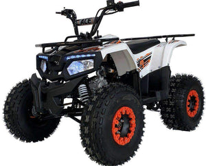 New Larger Youth - Ace T125 Thor - 125cc Kids ATV Utility - CA Carb Approved