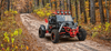 New 800cc - BMS PLATINUM 2S - 4X4 Dune Buggy