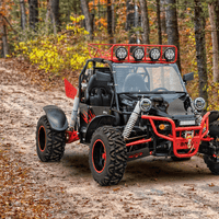 New 800cc - BMS PLATINUM 2S - 4X4 Dune Buggy