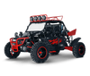 New 800cc - BMS PLATINUM 2S - 4X4 Dune Buggy