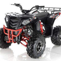New Larger Youth 125cc - Apollo Commander DLX - ATV Utility -CA Carb Approved - Free Shipping atvs Wholesale ATV 
