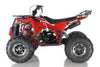 New Larger Youth 125cc - Apollo Commander DLX - ATV Utility -CA Carb Approved - Free Shipping atvs Wholesale ATV 