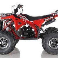 New Larger Youth 125cc - Apollo Commander DLX - ATV Utility -CA Carb Approved - Free Shipping atvs Wholesale ATV 