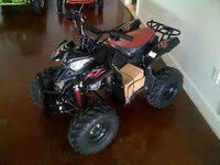 New Kids 110cc ATV - Coolster 3050B - Sport ATV - CA Carb Approved - Free Shipping atvs Wholesale ATV 