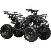New Larger Youth - Coolster 3125XR8 - 125cc Kids ATV Utility - CA Carb Approved - Free Shipping atvs Wholesale ATV black spider 