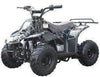 New Kids 110cc ATV - Coolster 3050C - ATV with Headlight & Rack - CA Carb Approved - Free Shipping atvs Wholesale ATV Black Spider 
