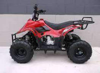 New Kids 110cc ATV - Coolster 3050C - ATV with Headlight & Rack - CA Carb Approved - Free Shipping atvs Wholesale ATV Burgundy 
