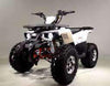 New Larger Youth - Tao Tao Raptor - 125cc Kids ATV Utility - CA Carb Approved - Free Shipping atvs Wholesale ATV 