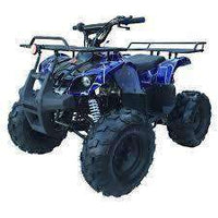 New Larger Youth - Coolster 3125XR8 - 125cc Kids ATV Utility - CA Carb Approved - Free Shipping atvs Wholesale ATV blue spider 
