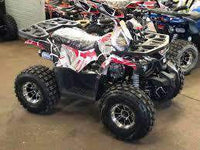 New Larger Youth - Tao Tao Raptor - 125cc Kids ATV Utility - CA Carb Approved - Free Shipping atvs Wholesale ATV 
