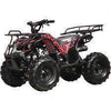 New Larger Youth - Coolster 3125XR8 - 125cc Kids ATV Utility - CA Carb Approved - Free Shipping atvs Wholesale ATV red spider 