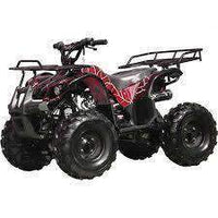 New Larger Youth - Coolster 3125XR8 - 125cc Kids ATV Utility - CA Carb Approved - Free Shipping atvs Wholesale ATV red spider 