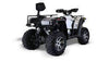 New Bennche Grey Wolf 550L EPS 4×4 - 2 Passenger ATV- No Dealer Set Up Fees.