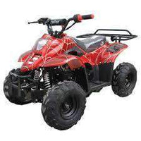 New Kids 110cc ATV - Coolster 3050C - ATV with Headlight & Rack - CA Carb Approved - Free Shipping atvs Wholesale ATV Red spider 