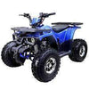 New Larger Youth - Tao Tao Raptor - 125cc Kids ATV Utility - CA Carb Approved - Free Shipping atvs Wholesale ATV 