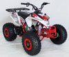 New EGL MADIX 125 - Fully Automatic Youth/Teen Sport ATV with Reverse