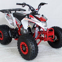 New EGL MADIX 125 - Fully Automatic Youth/Teen Sport ATV with Reverse