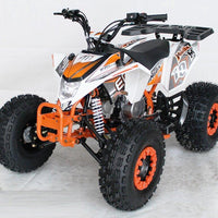 New EGL MADIX 125 - Fully Automatic Youth/Teen Sport ATV with Reverse