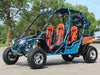 New Adult 200cc Go Kart - Dongfang 200GKA-4 - 4 Seater Go kart - Free Shipping Go karts Wholesale ATV Blue 