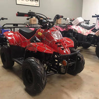 New Youth 110cc ATV Icebear PAH-110R2 with REVERSE!! - Kids ATV Four Wheeler