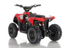 New Electric - APOLLO VOLT 500W - Mini Youth ATV